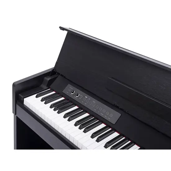 Medeli Andromeda Series CP203 BK