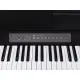 Medeli Andromeda Series CP203 BK