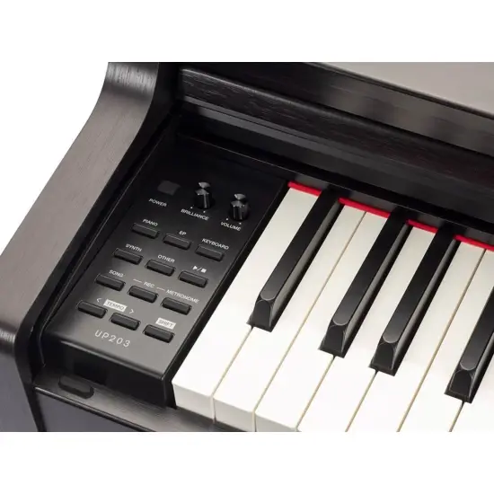 Medeli Andromeda Series UP203 BK