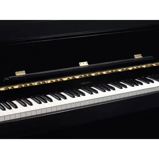 Medeli Forte Series UP805 GBK