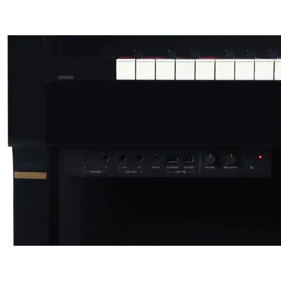 Medeli Forte Series UP805 GBK