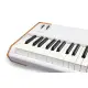 Arturia AstroLab 88