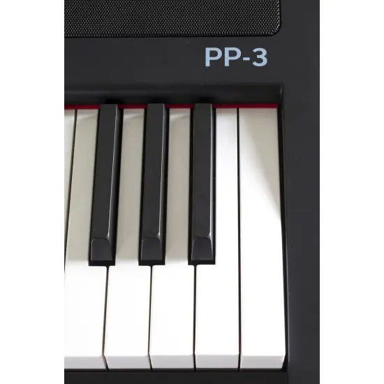 Gewa PP 3