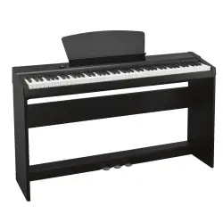 EK EKP200BK