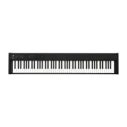 Korg D1 Black