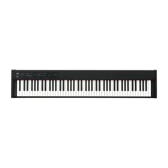 Korg D1 Black