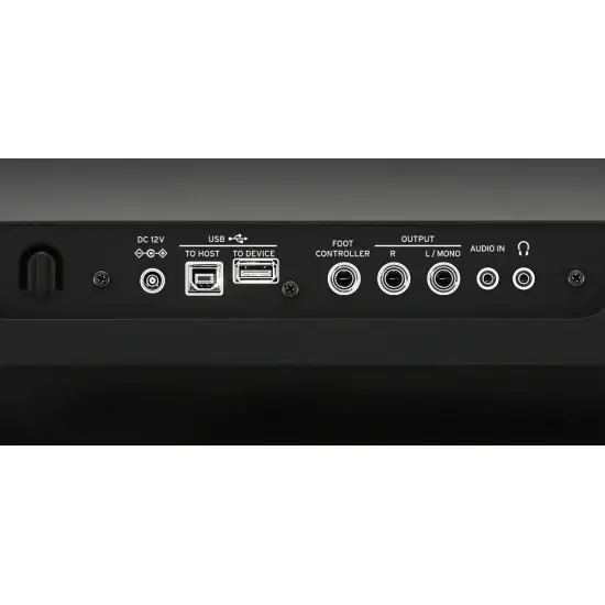 Korg EK 50 Limitless