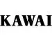 Kawai